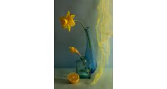 Aušros Pečiūrienės Foto Paveikslas ant drobės "Narcizai"