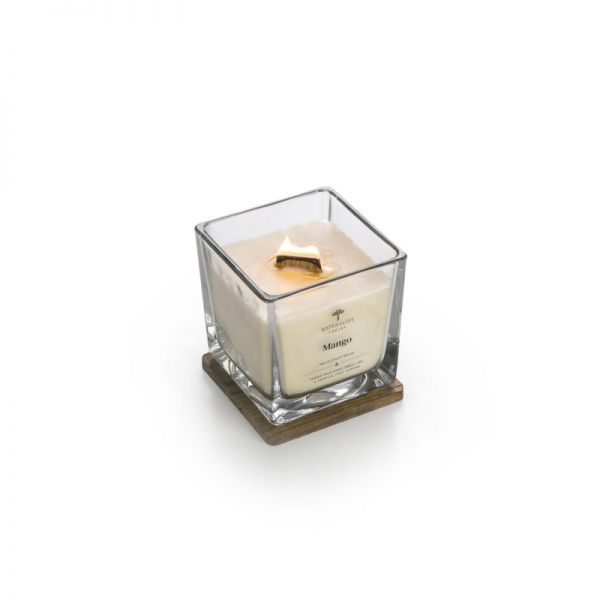 Aromaterapinė sojų vaško žvakė POMEGRANATE & MUSK 200 g